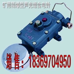 最新功能打点通话BAL1-127G矿用隔爆型声光组合电铃_山东电工器材_100招商网